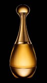 J'Adore L'Absolu