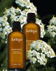 Jurlique Oils