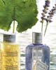 L'Occitane Bath & Shower