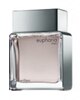 Calvin Klein Euphoria for Men