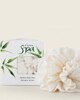 Di Palomo Spa Accessories