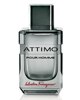 Salvatore Ferragamo Attimo Pour Homme