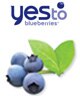 Yes To Yes To Blueberries