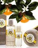Roger & Gallet Bois d'Orange