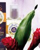 Roger & Gallet Ginger