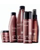 Redken Smooth Lock