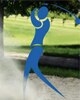Higher Nature Performax Sports