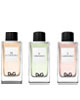DOLCE & GABBANA Collection