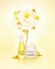 Decleor Nutridivine