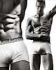 Calvin Klein Underwear Concept