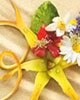 L'Occitane Hair Care