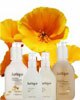 Jurlique Skin Care