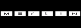 Merlin Professional