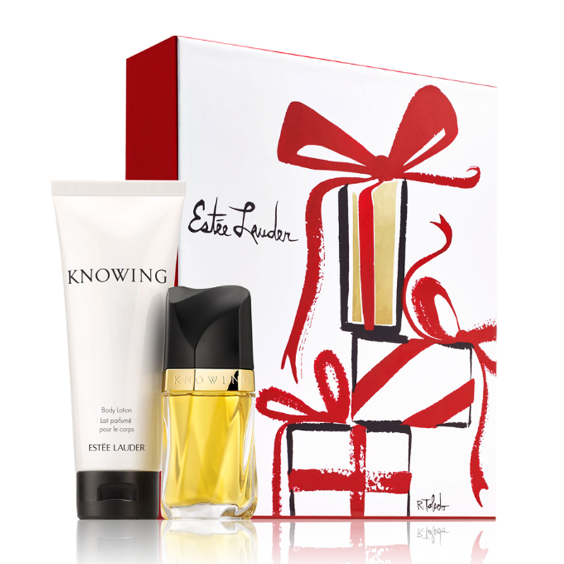 Estée Lauder Essence of Knowing Gift Set Feelunique