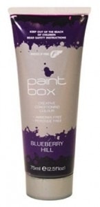 Fudge Paintbox Creative Conditioning Colour Blueberry Hill 75ml