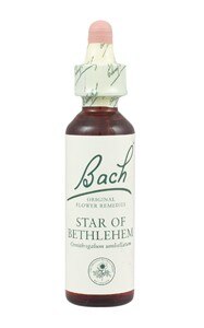 Bach Original Flower Remedies 20ml - Star of Bethlehem