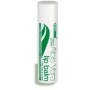 AloeDent Aloe Vera Lip Balm 4g