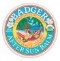 Badger Balm Mini After Sun Balm 21g