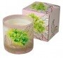 Designers Guild Lime Flower Scented Candle 170g