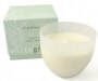 Di Palomo White Grape & Aloe Fragrant Candle (Glass Vase)