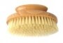 Kent Round Nail Brush - NB6