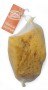 Opal London 5" Natural Sea Sponge