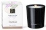 Rituals Under a Fig Tree Purifying Scented Candle