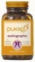 Pukka Organic Ayurvedic Herb Andrographis 90 Capsules