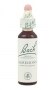 Bach Original Flower Remedies 20ml - Agrimony