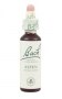 Bach Original Flower Remedies 20ml - Aspen