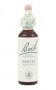 Bach Original Flower Remedies 20ml - Beech