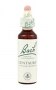 Bach Original Flower Remedies 20ml - Centaury
