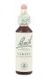 Bach Original Flower Remedies 20ml - Cerato