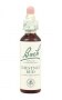 Bach Original Flower Remedies 20ml - Chestnut Bud