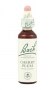 Bach Original Flower Remedies 20ml - Cherry Plum