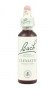 Bach Original Flower Remedies 20ml - Clematis