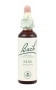 Bach Original Flower Remedies 20ml - Elm