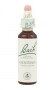 Bach Original Flower Remedies 20ml - Gentian