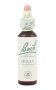 Bach Original Flower Remedies 20ml - Holly