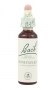 Bach Original Flower Remedies 20ml - Honeysuckle