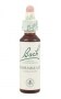 Bach Original Flower Remedies 20ml - Hornbeam