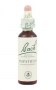 Bach Original Flower Remedies 20ml - Impatiens
