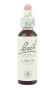 Bach Original Flower Remedies 20ml - Larch