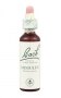 Bach Original Flower Remedies 20ml - Mimulus