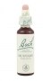 Bach Original Flower Remedies 20ml - Mustard