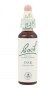 Bach Original Flower Remedies 20ml - Oak
