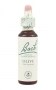 Bach Original Flower Remedies 20ml - Olive