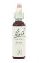 Bach Original Flower Remedies 20ml - Pine