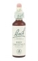 Bach Original Flower Remedies 20ml - Red Chestnut