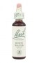 Bach Original Flower Remedies 20ml - Rock Water